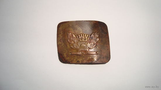 Пряжка школьника                                          (910)