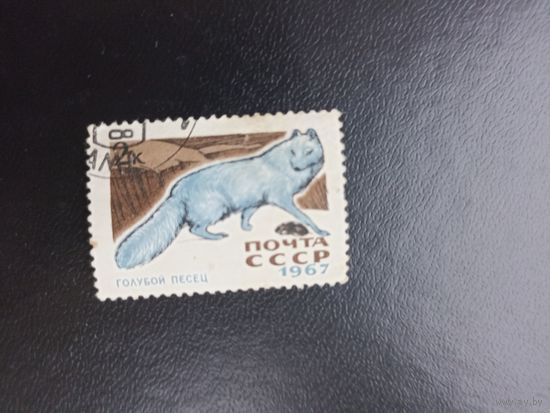 СССР 1967. Голубой песец.