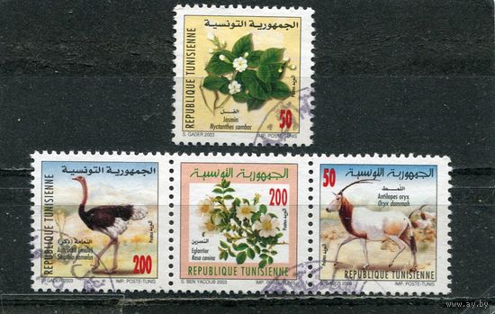 Тунис. Фауна и флора