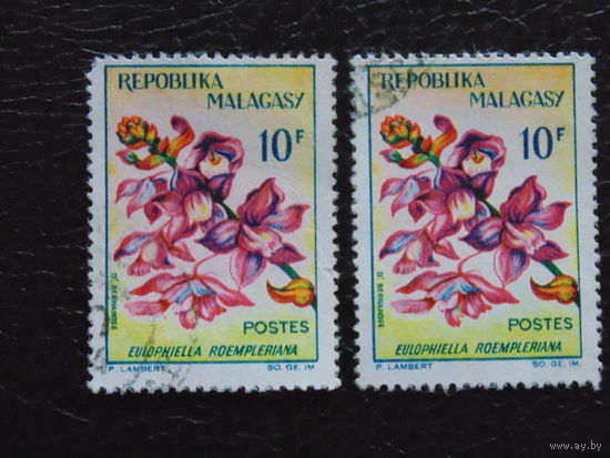 Мадагаскар. Флора.