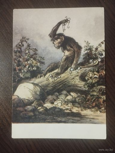 "Мартышка и Очки". Худ. Таранов.Чистая.1956г.