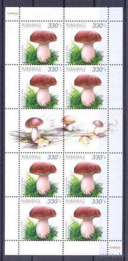 Армения грибы флора 2 марки и 2 листа с купонами