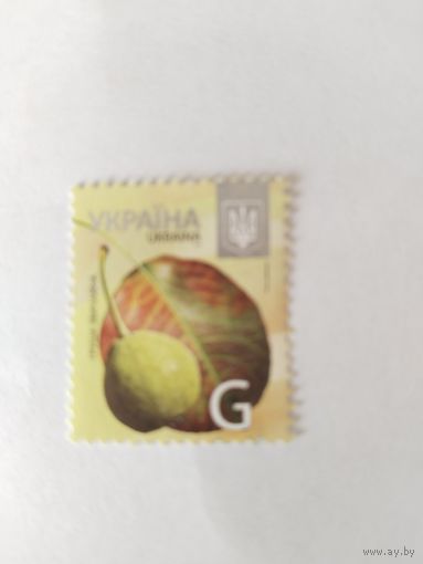 Украина  2013 груша