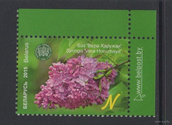 Флора кусты Беларусь 2015 "Центральный ботанический сад."Сирень"Вера Хоружая"