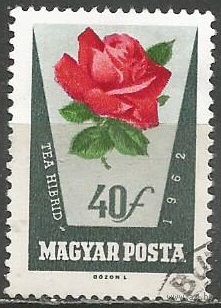 Венгрия. Цветы. Розы. 1962г. Mi#1857.