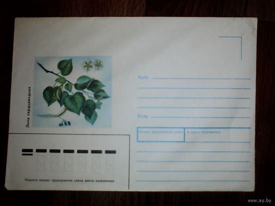 Конверт. Липа сердцевидная. 1989 год