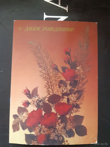 Дергилева С днем рождения