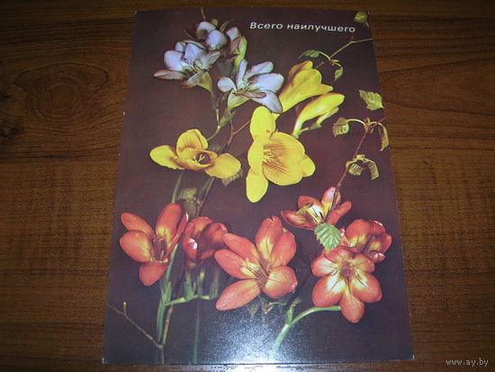 Цветы Композиция Всего наилучшего Польша чистая