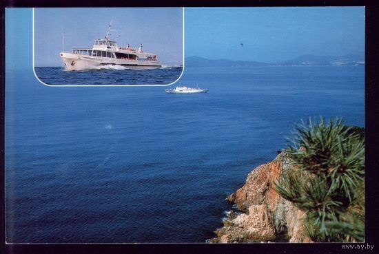 Черноморское морское пароходство Платан