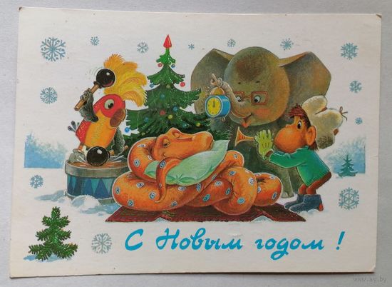 Открытка 1988 (263) В.Зарубин
