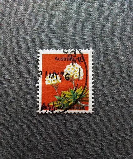 Марка Австралия 1975 год Цветы