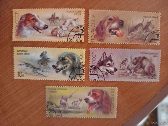 1988 СССР фауна собаки полная серия MNH** (2-2)