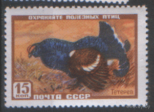 Заг. 1907. 1957. Тетерев. ЧиСт.