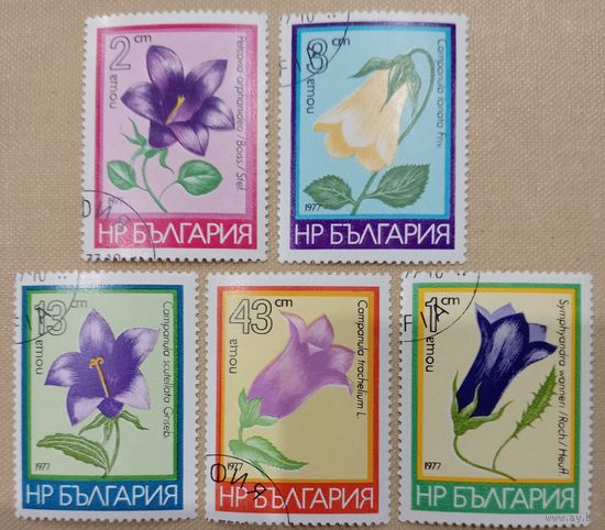 Болгария 1977. Флора. Цветы
