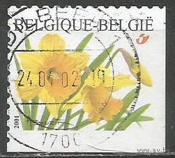 Бельгия. Цветы. Нарциссы. 2001г. Mi#3095.