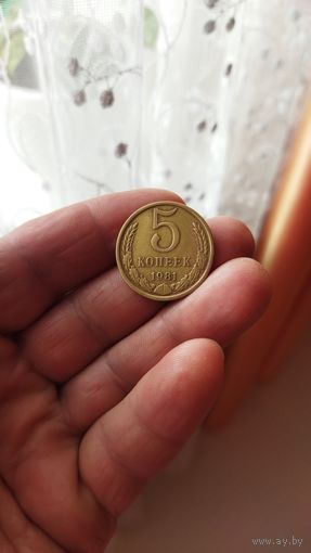 5 копеек 1981 г. СССР.