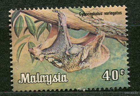 Фауна. Южноазиатская летяга. Малайзия. 1979. Чистая без клея