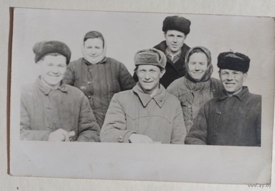 Фото в коллекцию