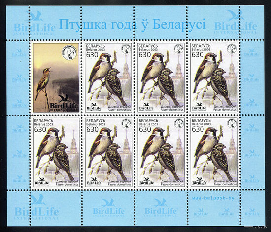 2003_Домовой воробей.