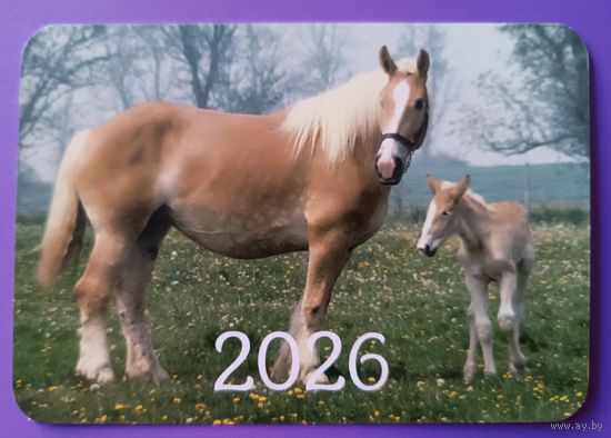 Лошади. Календарик, глянец, 2026. Траско