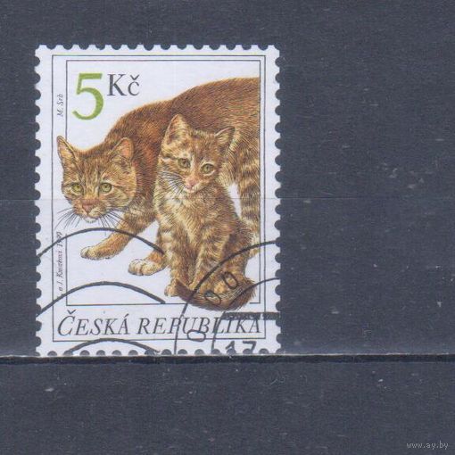 [943] Чехия 1999. Фауна.Кошки. Гашеная марка.