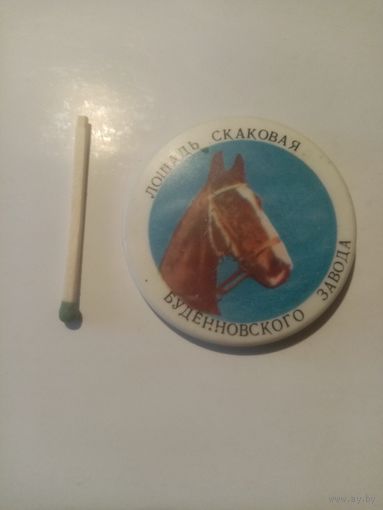 Значек лошадь. НЕЧАСТЫЙ!