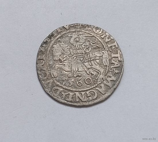 Паўгрошы Жыгiмонта II. 1560, Вильно. Хороший