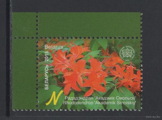 Флора кусты Беларусь 2015 "Центральный ботанический сад."Рододендрон Академик Смольский"