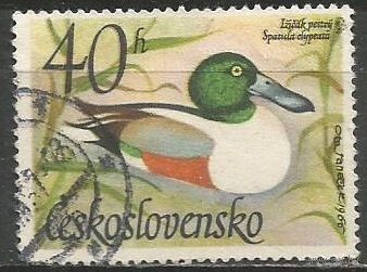 Чехословакия. Утка широконоска. 1967г. Mi#1682.