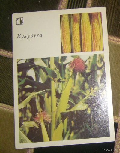 Кукуруза.1986г.