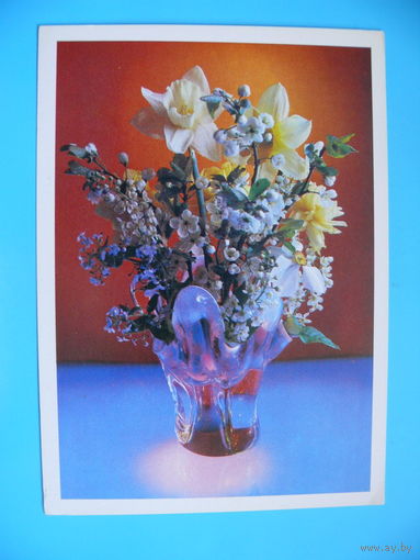 Фото Костенко Г., Композиция из цветов, 1981, чистая.