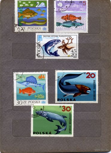 ПОЛЬША, ,  6м ,   РЫБЫ,  сборка, гаш. по 30 коп шт