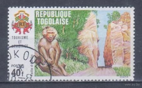[2472] Того 1971. Фауна.Обезьяны. Гашеная марка.