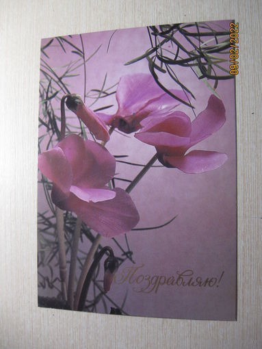 Стейнерт Э . 1989 г.
