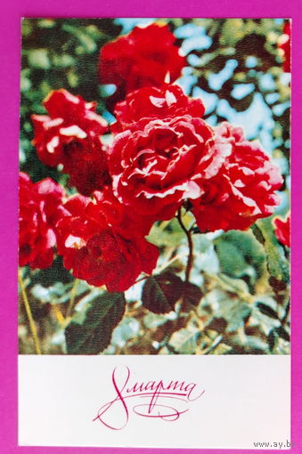 8 марта! Чистая. 1970 года. Хоменко. 2212.