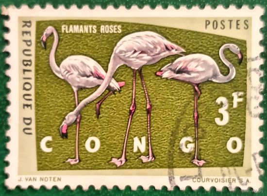 Конго. Фауна. Птицы. Розовый фламинго