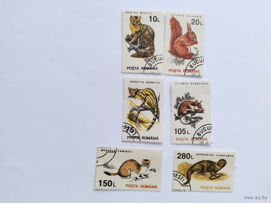 Румыния  1993 6м дик.животн.