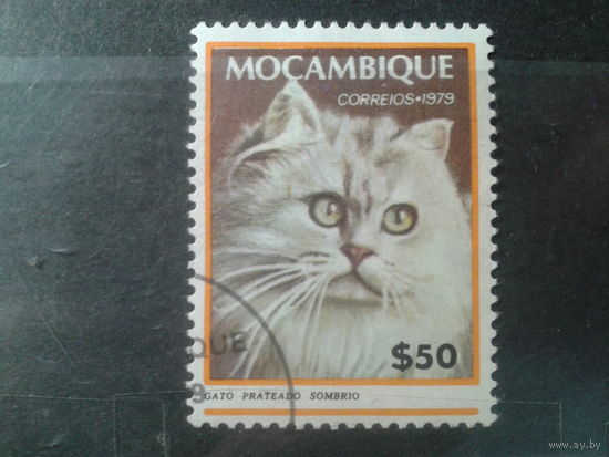 Мозамбик, 1979. Домашняя кошка