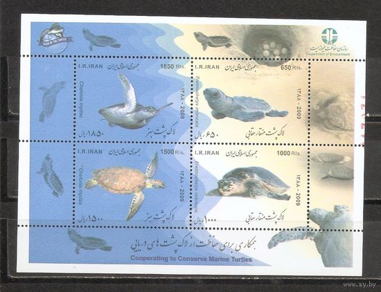 ФФ3 Иран 2009 Черепахи