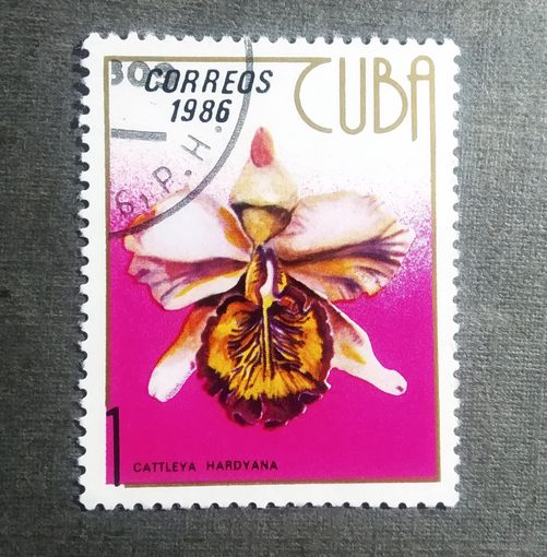 Марка Куба 1986 год Цветы