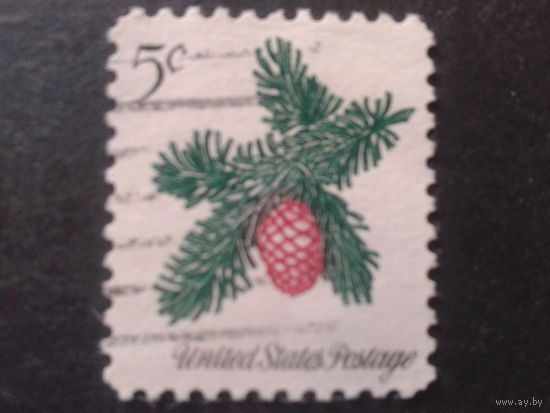 США 1964 Рождество, шишка