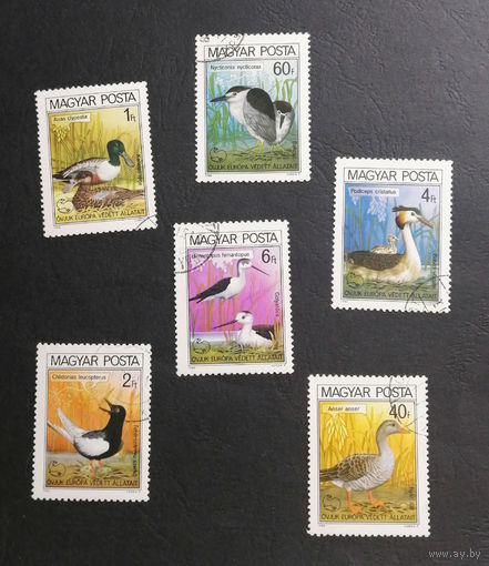 Венгрия 1980 г. Птицы. Фауна, полная серия из 6 марок #0239-Ф1P46