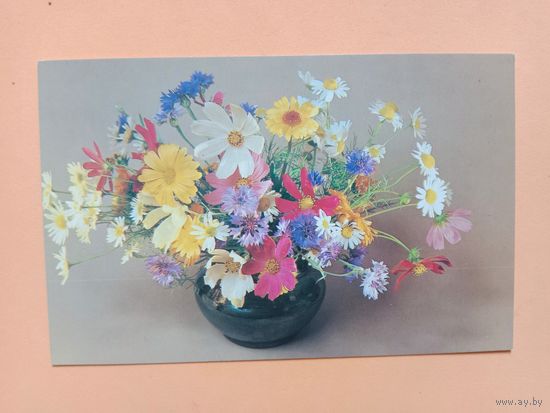 Открытка,1983
