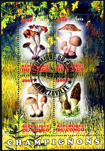 Грибы Конго 2013 год квартблок