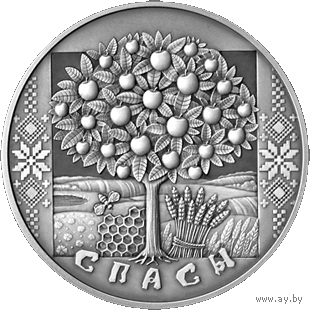 1 рубль 2009 - Спасы