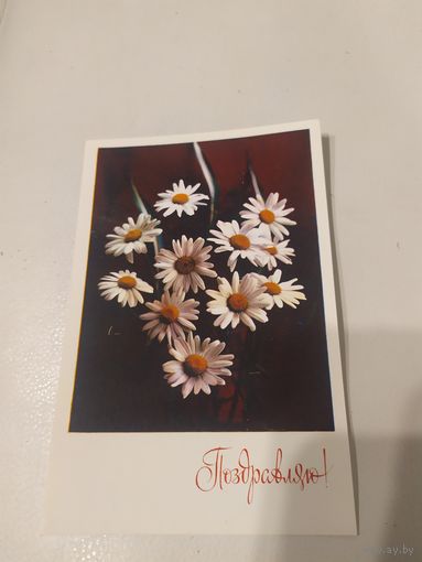 ОТКРЫТКА "ПОЗДРАВЛЯЮ!"