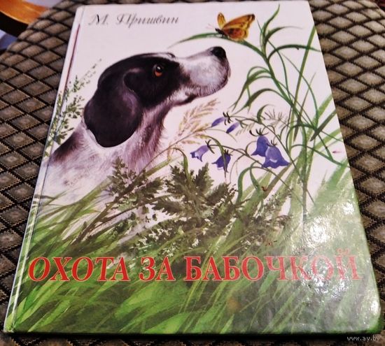 ОХОТА ЗА БАБОЧКОЙ. М Пришвин.