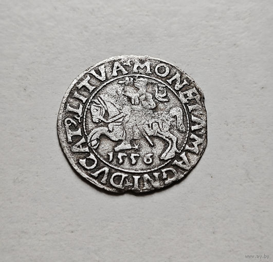 Полугрош 1556 г. Сигизмунд II Август, Вильно, лот рп-4,3
