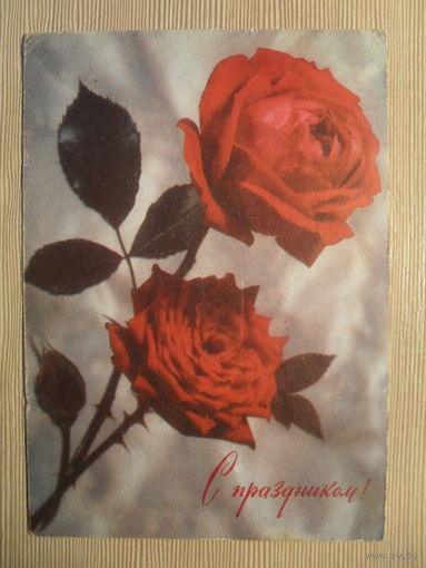 ПОДПИСАННАЯ ОТКРЫТКА. СССР. С ПРАЗДНИКОМ. фото. Б. МАКСИМОВА. 1971 г.