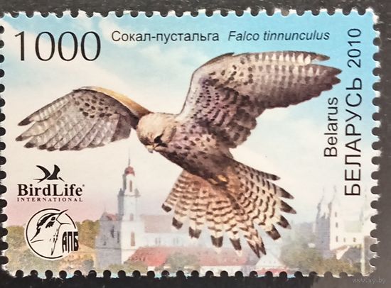 Беларусь 2010. Птицы года. Сокол-пустельга